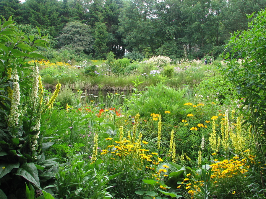 Open tuindagen Jan Wilde een Tuin WESTERLEE, 150820 VanPlan