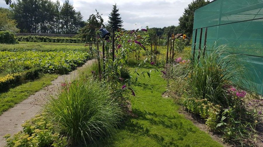 Open Tuinen Dag Diverse tuinen PROV DRENTHE, 090820 VanPlan